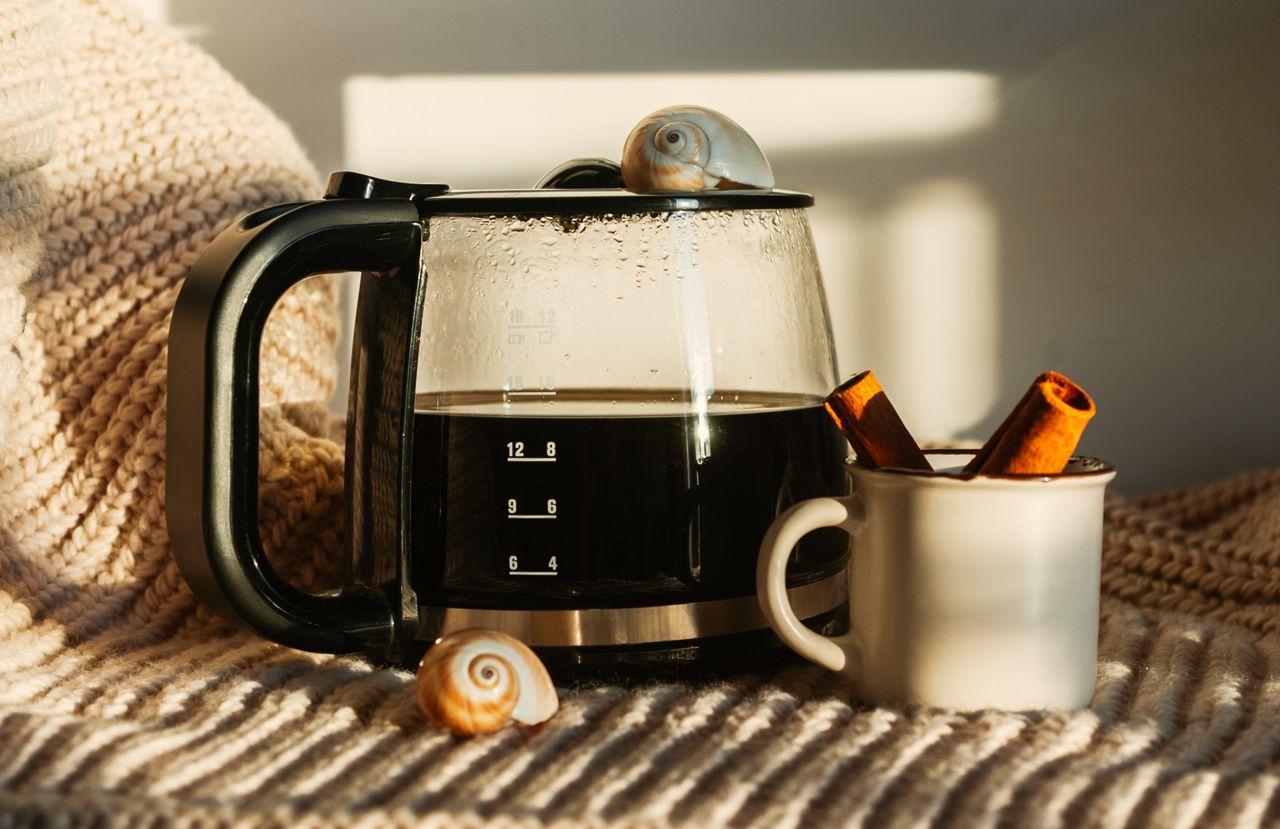Warm coffee atmosphere with pot, cinnamon sticks, and decorative shells in sunlight.